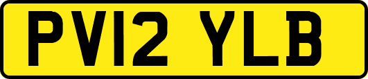 PV12YLB