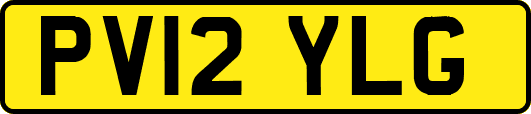 PV12YLG