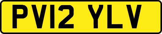 PV12YLV