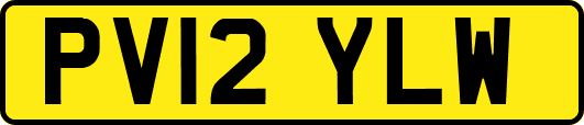 PV12YLW
