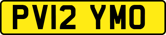 PV12YMO