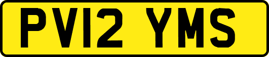PV12YMS