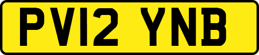 PV12YNB