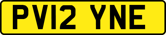 PV12YNE