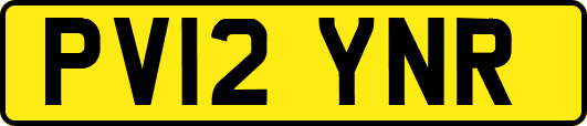 PV12YNR