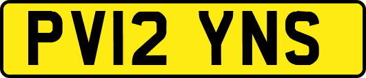 PV12YNS
