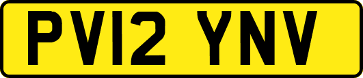 PV12YNV