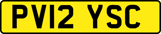 PV12YSC
