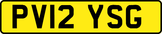PV12YSG