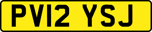 PV12YSJ