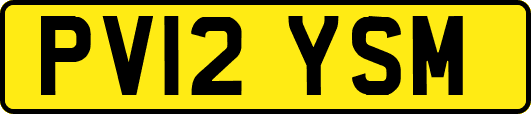 PV12YSM