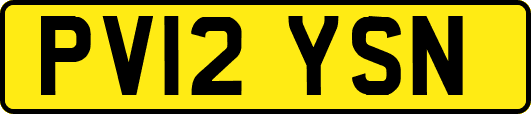 PV12YSN