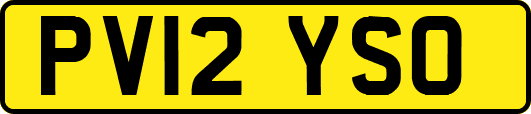 PV12YSO