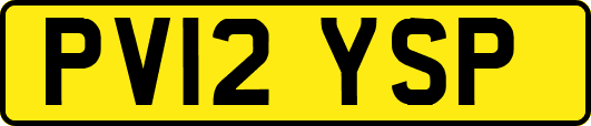PV12YSP
