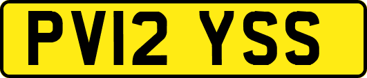 PV12YSS