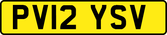 PV12YSV
