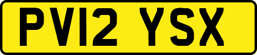 PV12YSX