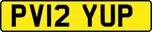 PV12YUP