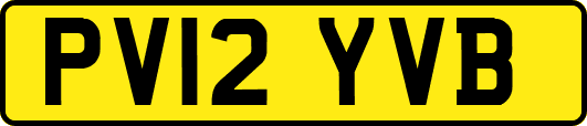 PV12YVB