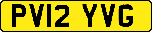 PV12YVG