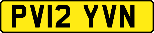 PV12YVN