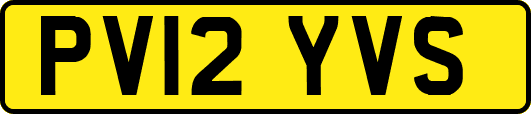PV12YVS
