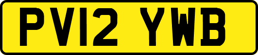 PV12YWB