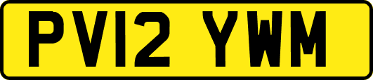 PV12YWM