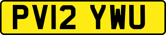 PV12YWU