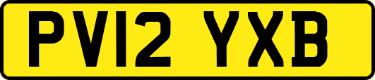 PV12YXB