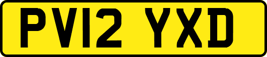 PV12YXD