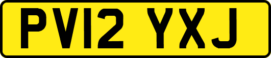 PV12YXJ