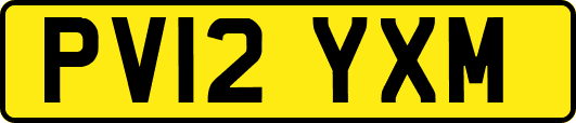 PV12YXM