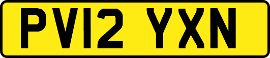 PV12YXN