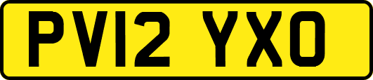 PV12YXO