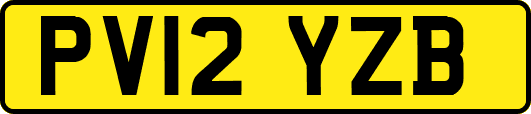 PV12YZB