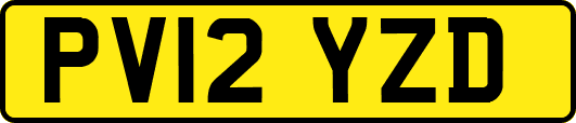 PV12YZD
