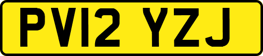 PV12YZJ