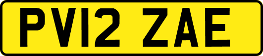 PV12ZAE