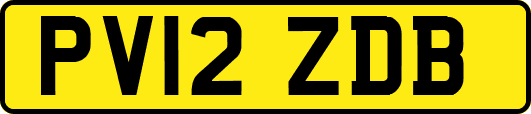 PV12ZDB