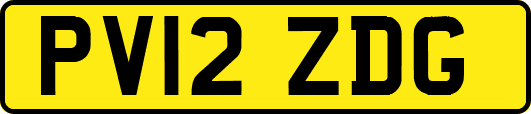 PV12ZDG