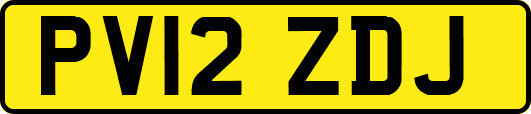 PV12ZDJ