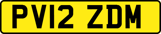 PV12ZDM