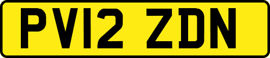 PV12ZDN