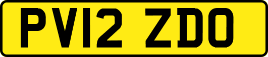 PV12ZDO
