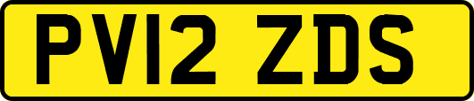 PV12ZDS