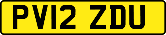 PV12ZDU