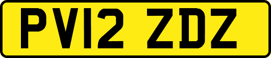 PV12ZDZ