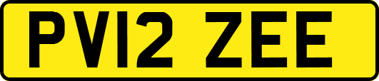 PV12ZEE