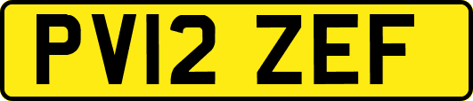 PV12ZEF